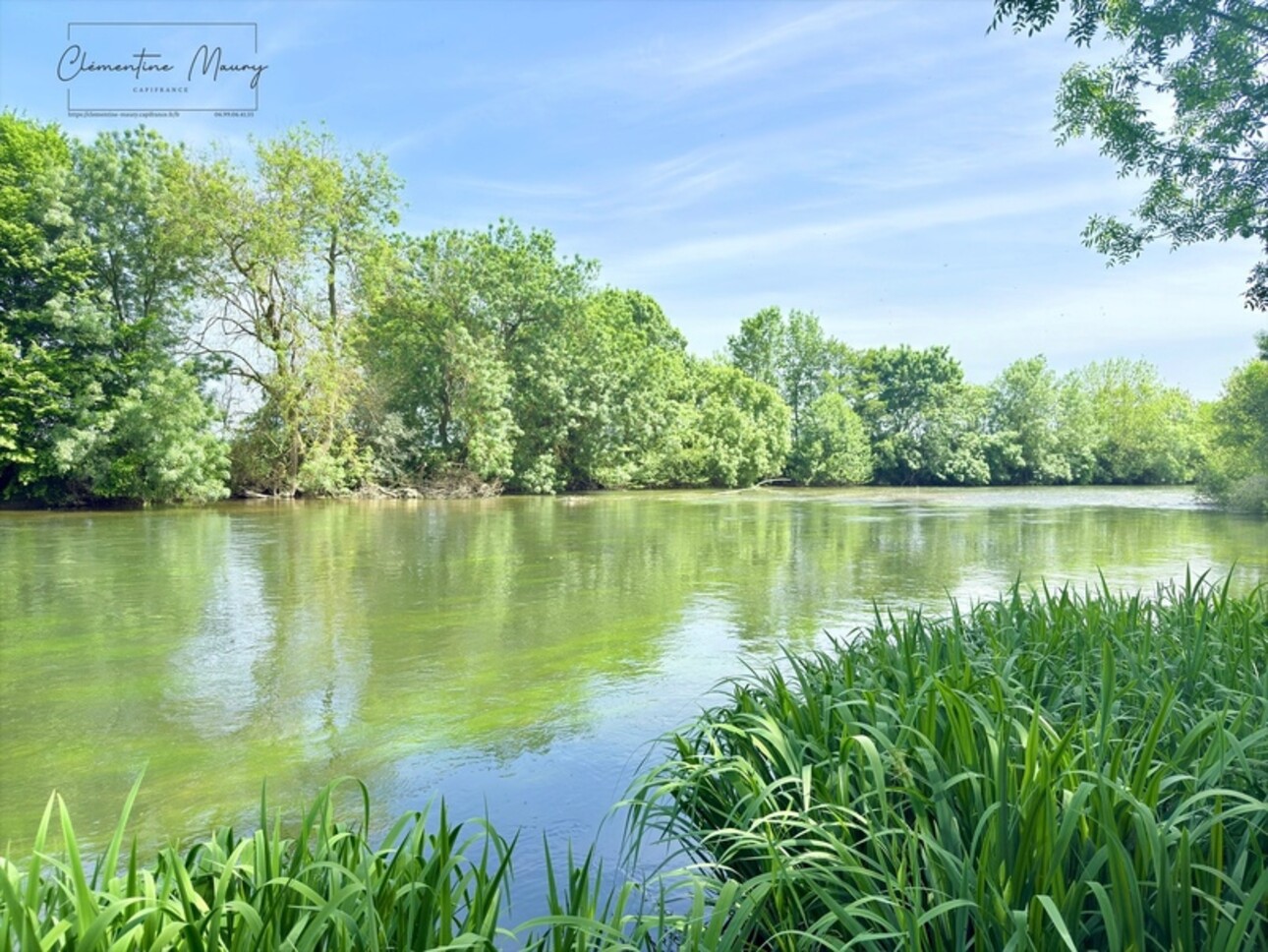Photos 3 - Foncière - Terrain de loisirs à vendre 1244 m² en bord de Loir – Lunay (41)