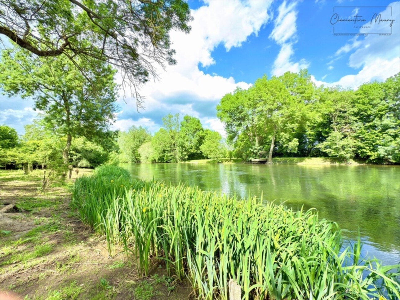 Photos 4 - Foncière - Terrain de loisirs à vendre 1244 m² en bord de Loir – Lunay (41)
