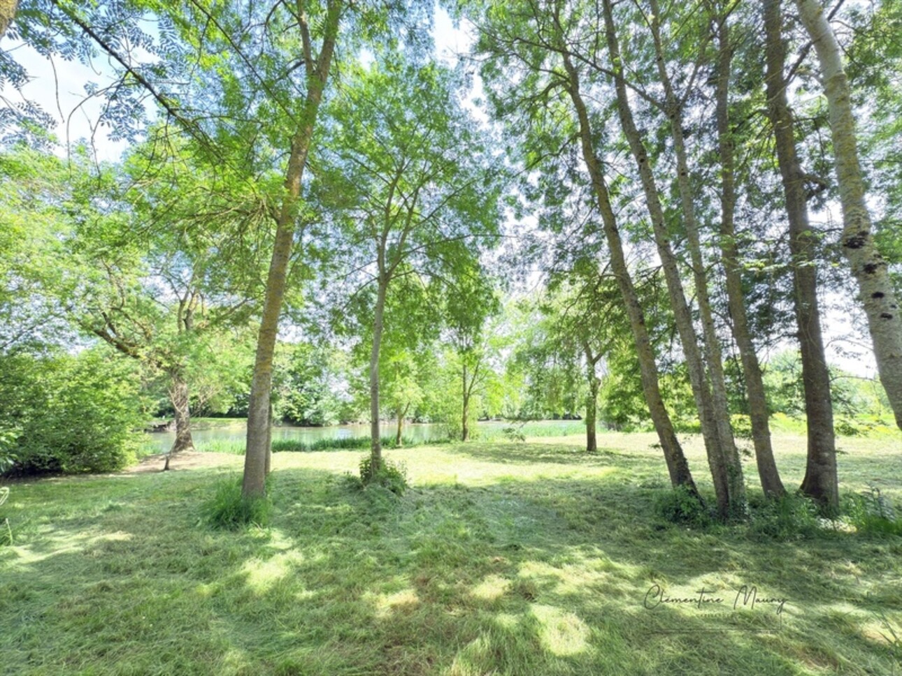 Photos 6 - Foncière - Terrain de loisirs à vendre 1244 m² en bord de Loir – Lunay (41)