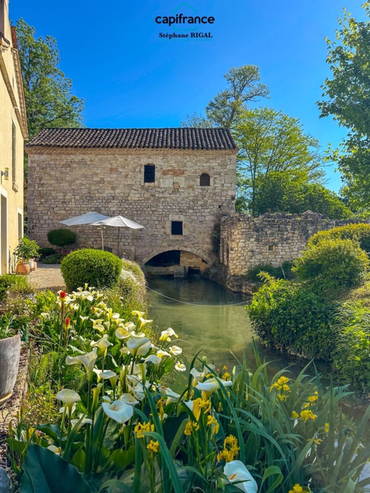 Photos 15 - Prestige - Propriete à vendre 6 pièces MONTCUQ maison de 150m2 + dépendances + moulin sur 1,65ha de terrain