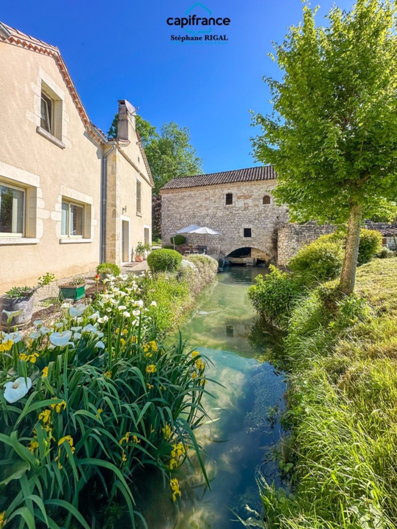 Photos 26 - Prestige - Propriete à vendre 6 pièces MONTCUQ maison de 150m2 + dépendances + moulin sur 1,65ha de terrain