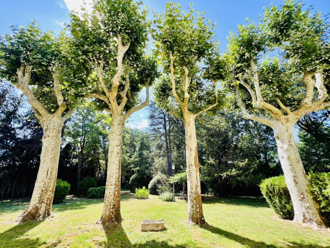 Photos 4 - Prestige - Maison de caractère