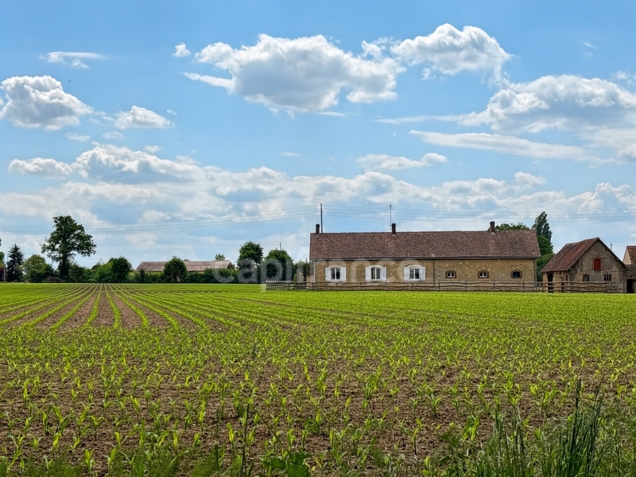 Photos 13 - Agricole - Propriéte à vendre  DOLLON (72) Corps de ferme environ 5 hectares