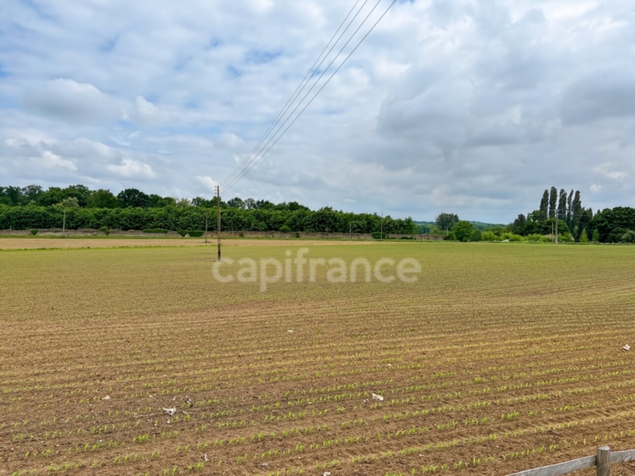 Photos 21 - Agricole - Propriéte à vendre  DOLLON (72) Corps de ferme environ 5 hectares