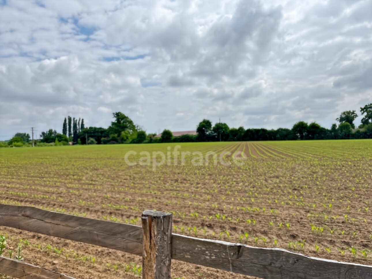 Photos 22 - Agricole - Propriéte à vendre  DOLLON (72) Corps de ferme environ 5 hectares