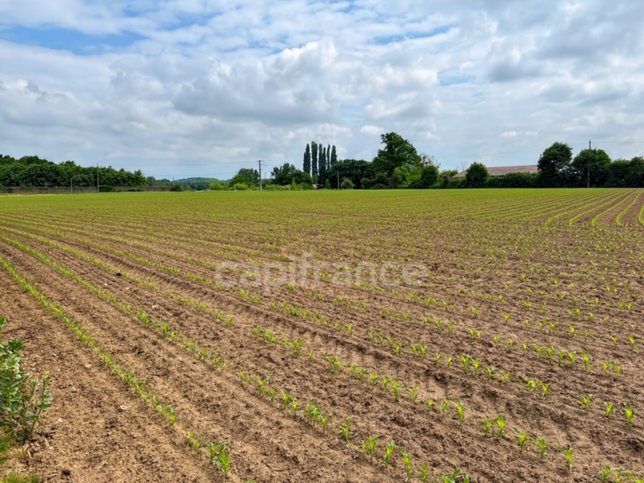 Photos 23 - Agricole - Propriéte à vendre  DOLLON (72) Corps de ferme environ 5 hectares