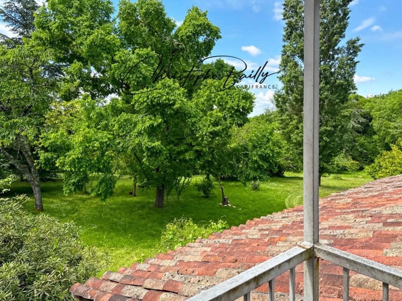 Photos 14 - Équestre - Maison de maître du XVIIIe siècle – Parc arboré de 1,5 hectare – Montastruc-la-Conseillère (31380)
