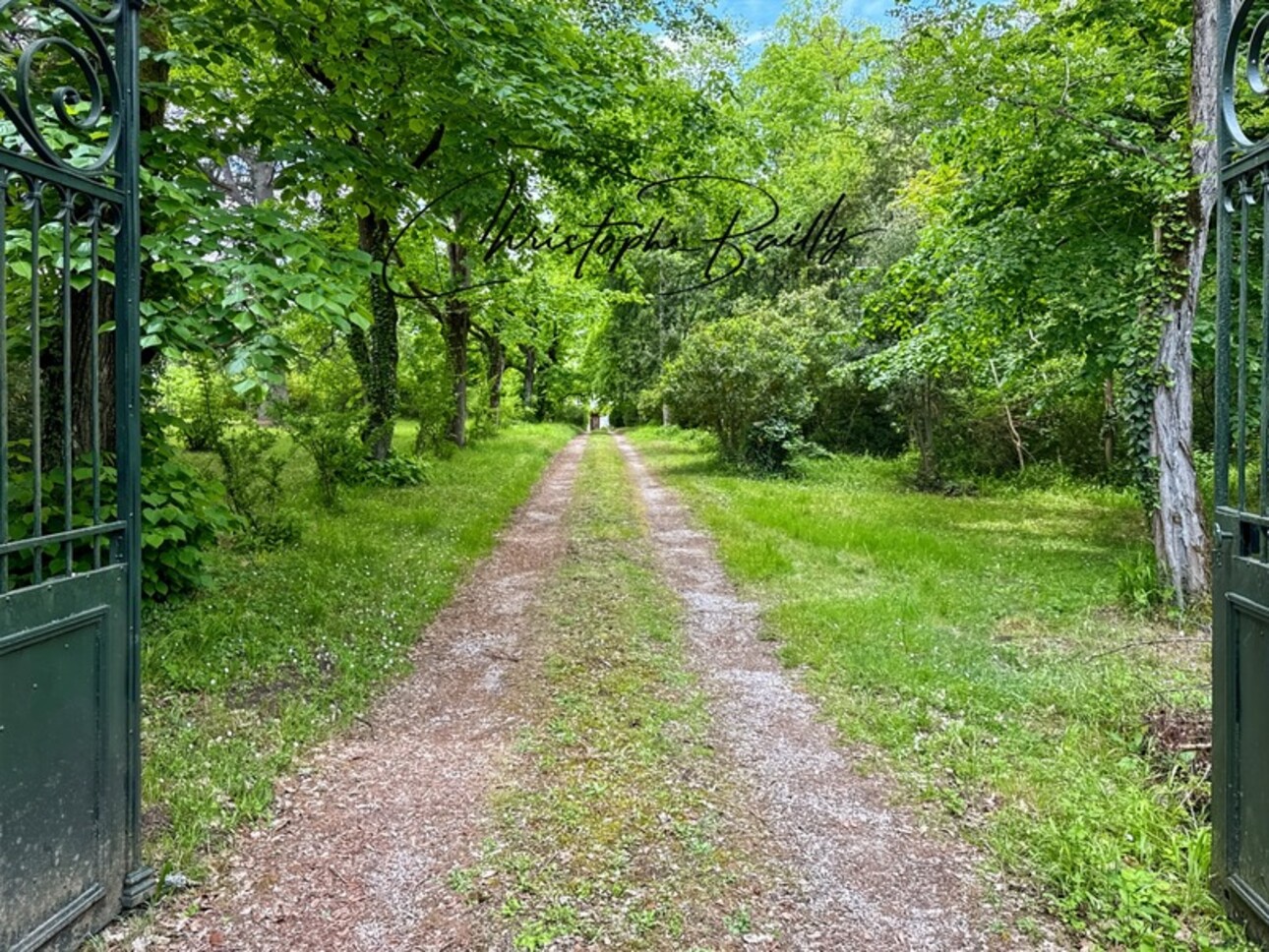 Photos 23 - Équestre - Maison de maître du XVIIIe siècle – Parc arboré de 1,5 hectare – Montastruc-la-Conseillère (31380)