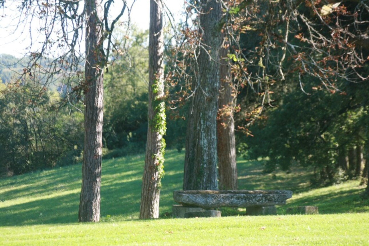 Photos 43 - Prestige - Dpt Gers (32), à vendre MARCIAC proche , Beau CHATEAU dominant sur 8ha ideal acueil public, EVENEMENTIEL, résidence séniors, communauté, habitat partagé