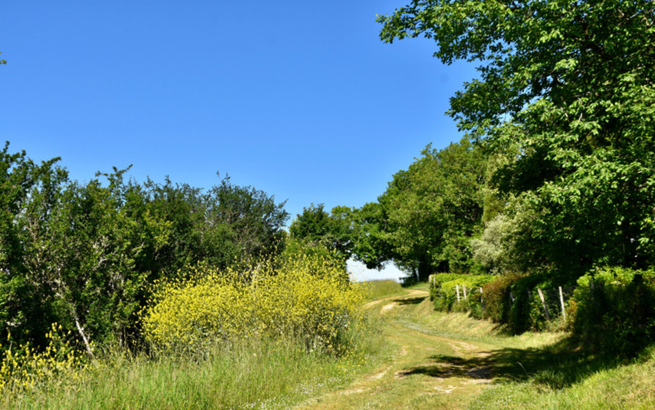 Photos 18 - Prestige - Dpt Gers (32), à vendre BAZIAN propriété P12 de 430 m² avec piscine et terrain de tennis - Terrain de 1,60 Ha