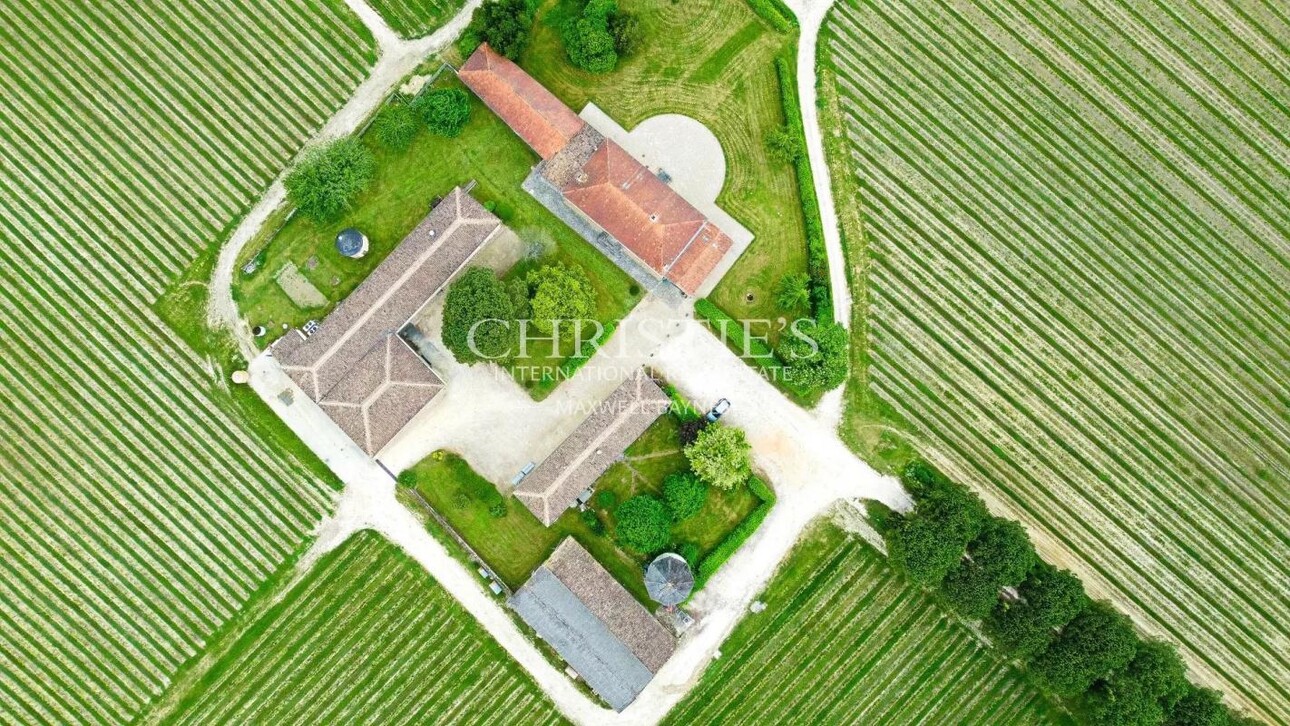 Photos 2 - Vineyard - 28 ha wine estate in excellent condition with attractive buildings