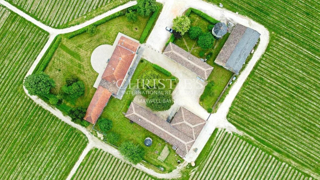 Photos 13 - Vineyard - 28 ha wine estate in excellent condition with attractive buildings