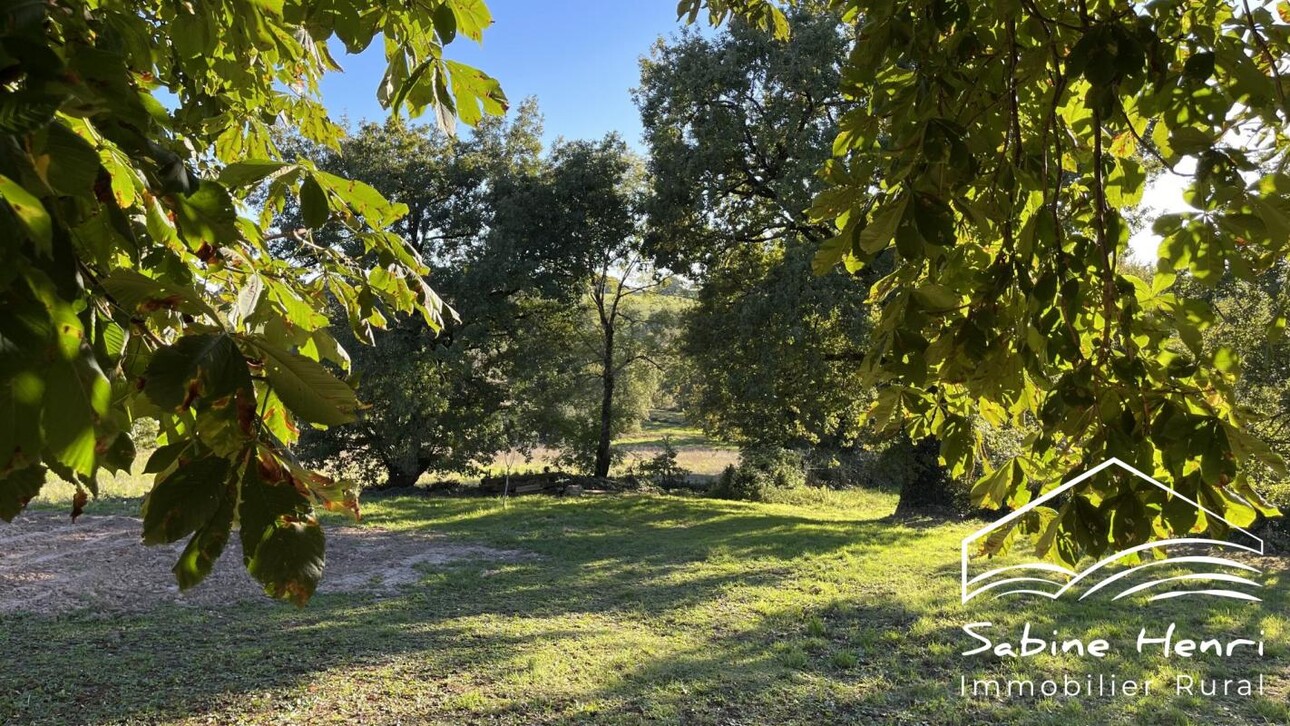 Photos 4 - Prestige - Maison de campagne sur plus de 3 ha
