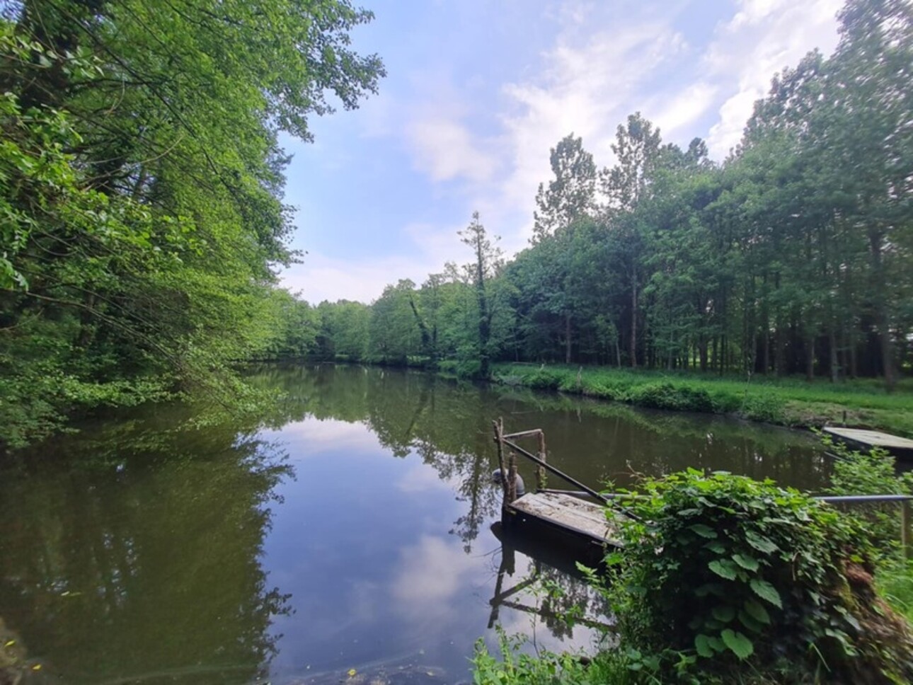 Photos 1 - Forestière - Fôret avec étang à Craon