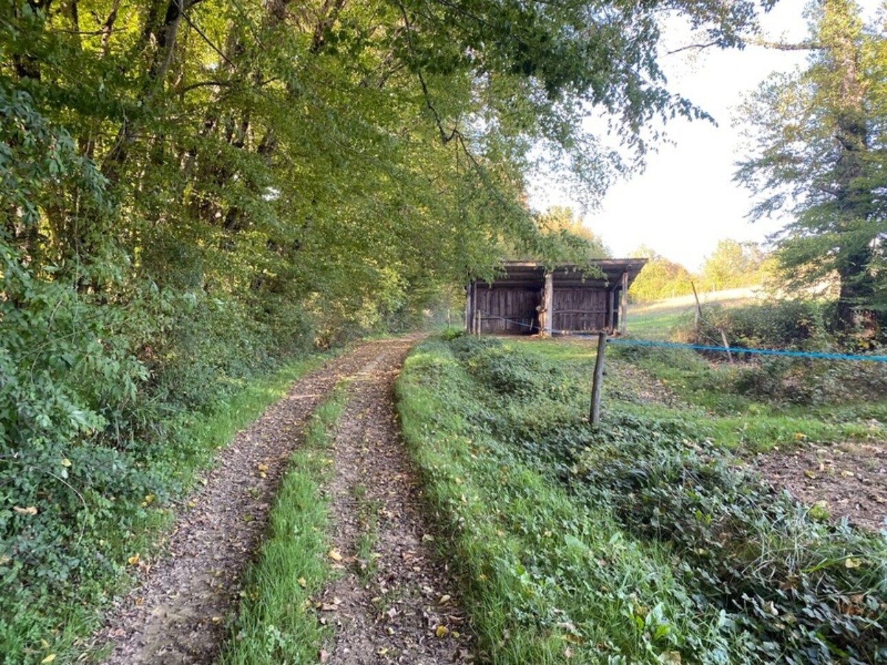 Photos 13 - Equestrian - Dpt Gers (32), for sale near LUPIAC equestrian property - P14 of 375 m² - Land of 22 Ha - Single sto
