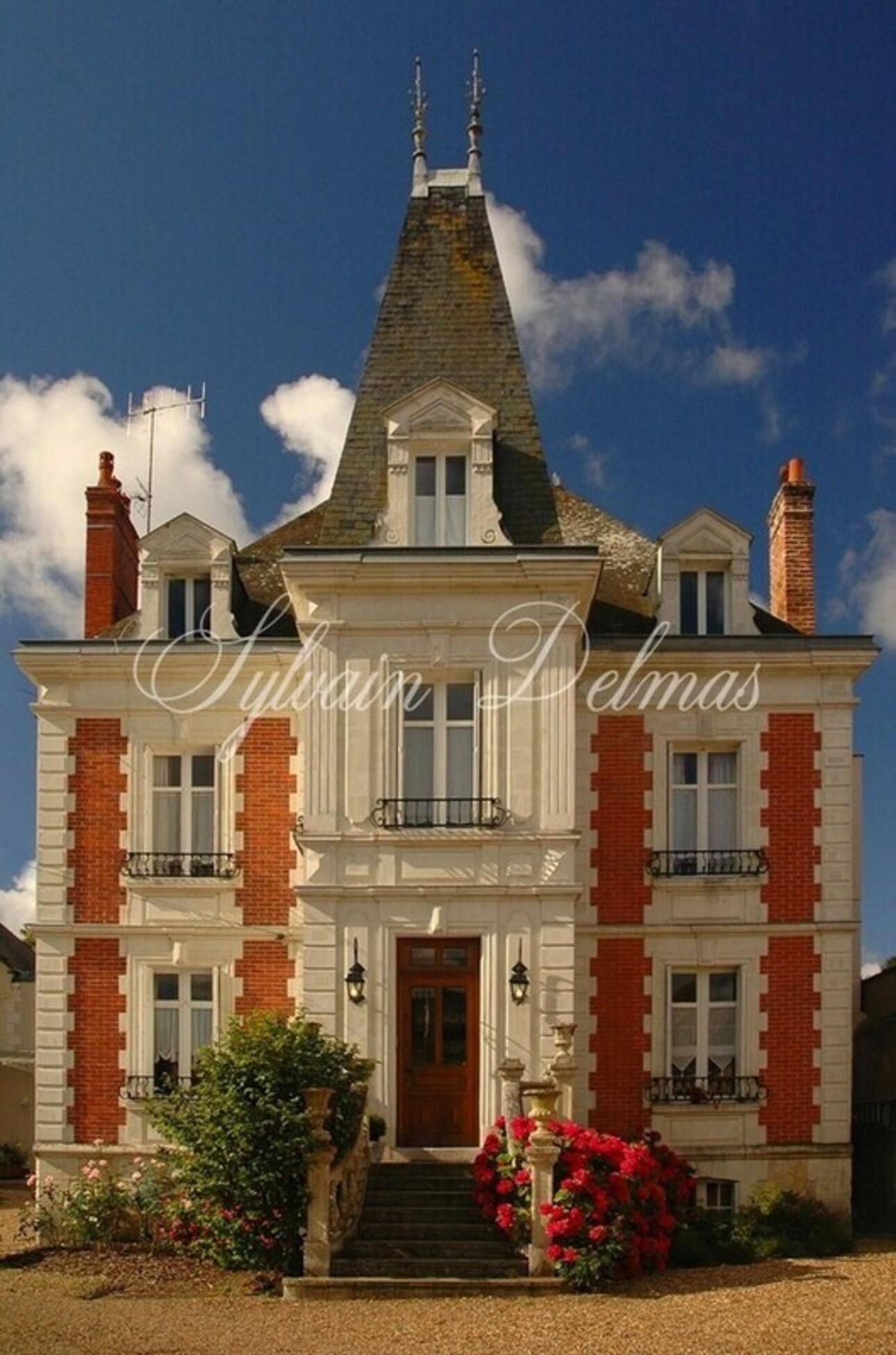 Photos 8 - Tourist - Propriete à vendre 32 pièces AMBOISE (37)