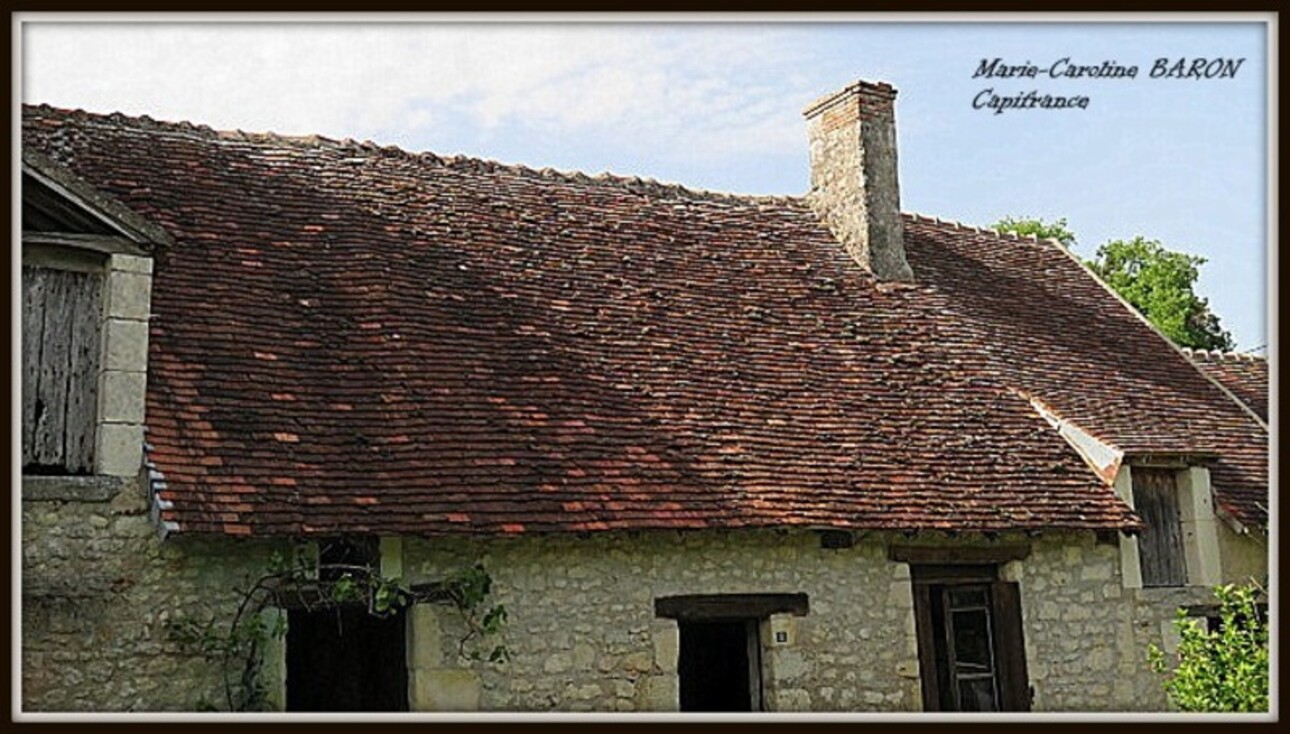 Photos 11 - Tourist - BEAUMONT VILLAGE (37) CORPS DE FERME à réhabiliter sur 3ha