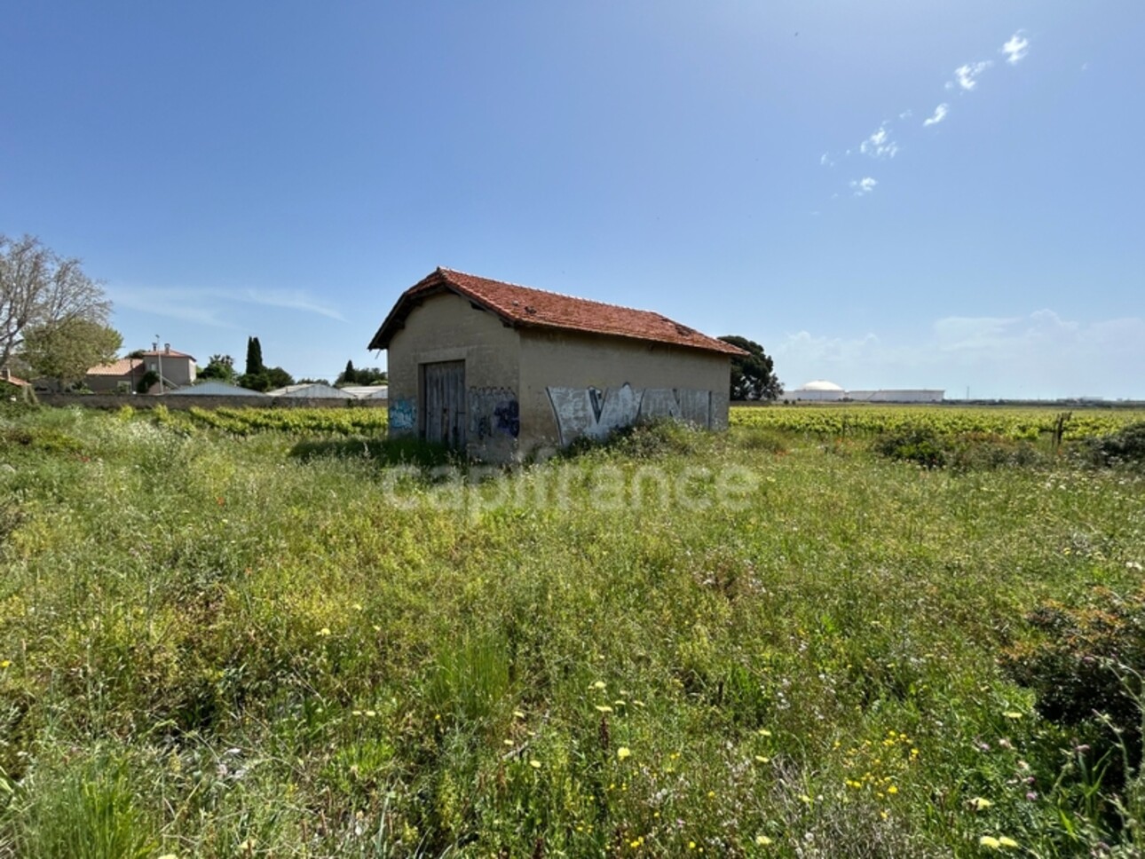 Photos 1 - Land - Terrain à vendre  FRONTIGNAN (34)