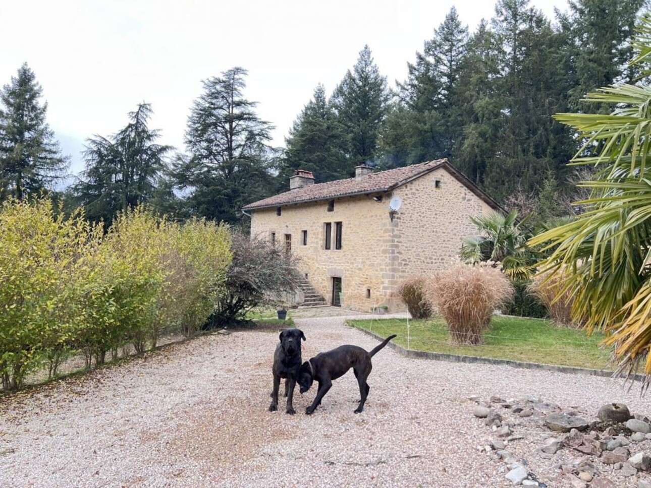Photos 8 - Tourist - Farm with outbuildings