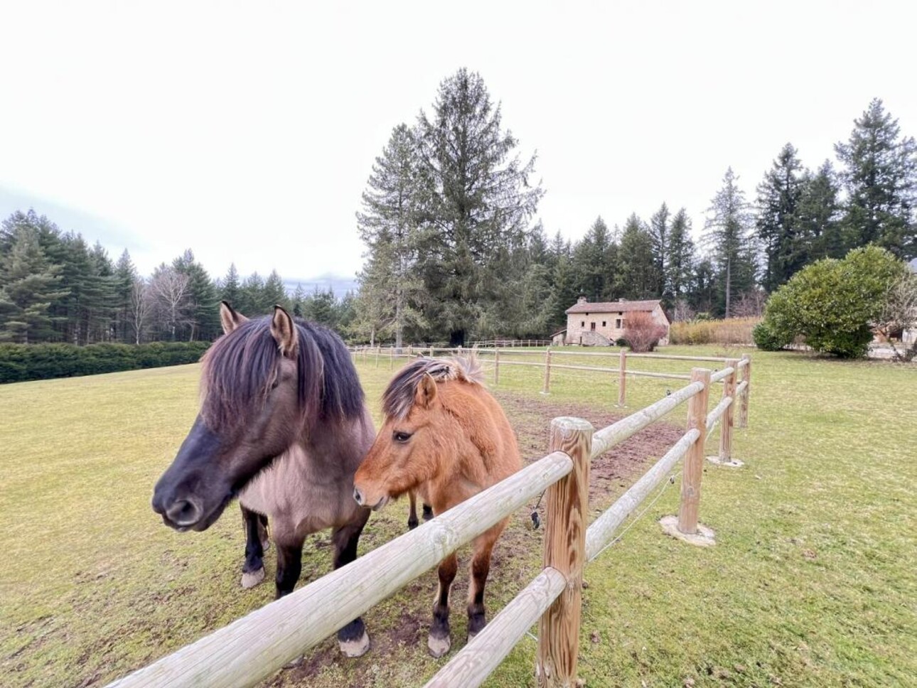 Photos 15 - Tourist - Farm with outbuildings