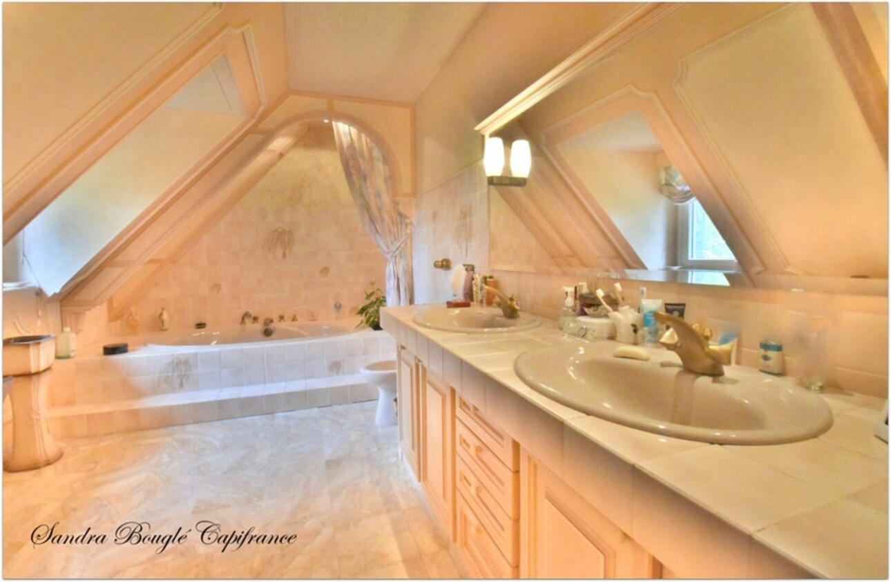 Photos 14 - Prestige - Propriété à vendre 12 pièces BALAZE (35)