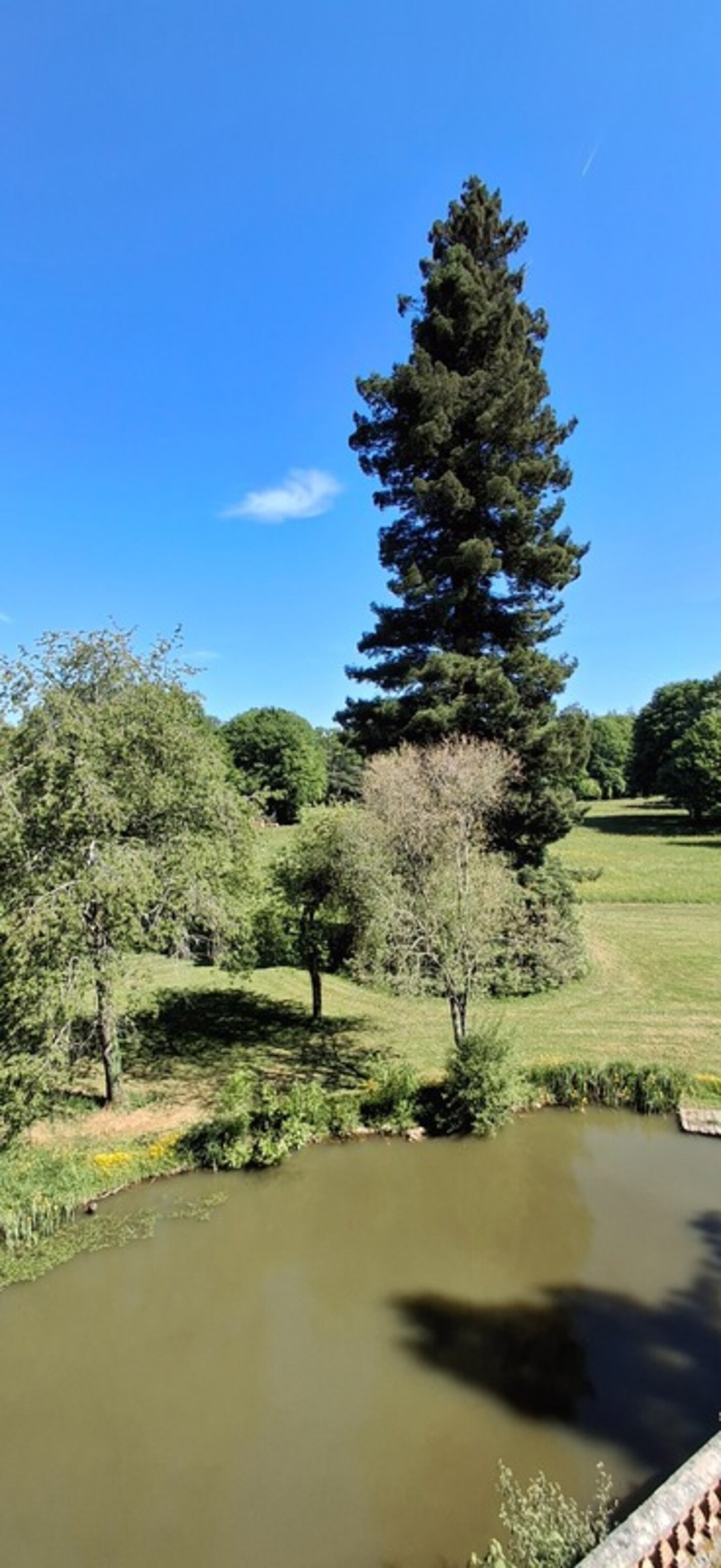 Photos 5 - Prestigious - Château du XVIII eme a 1h10 de Paris. Conçu pour accueillir activités professionnelles et vie familiale indépendante