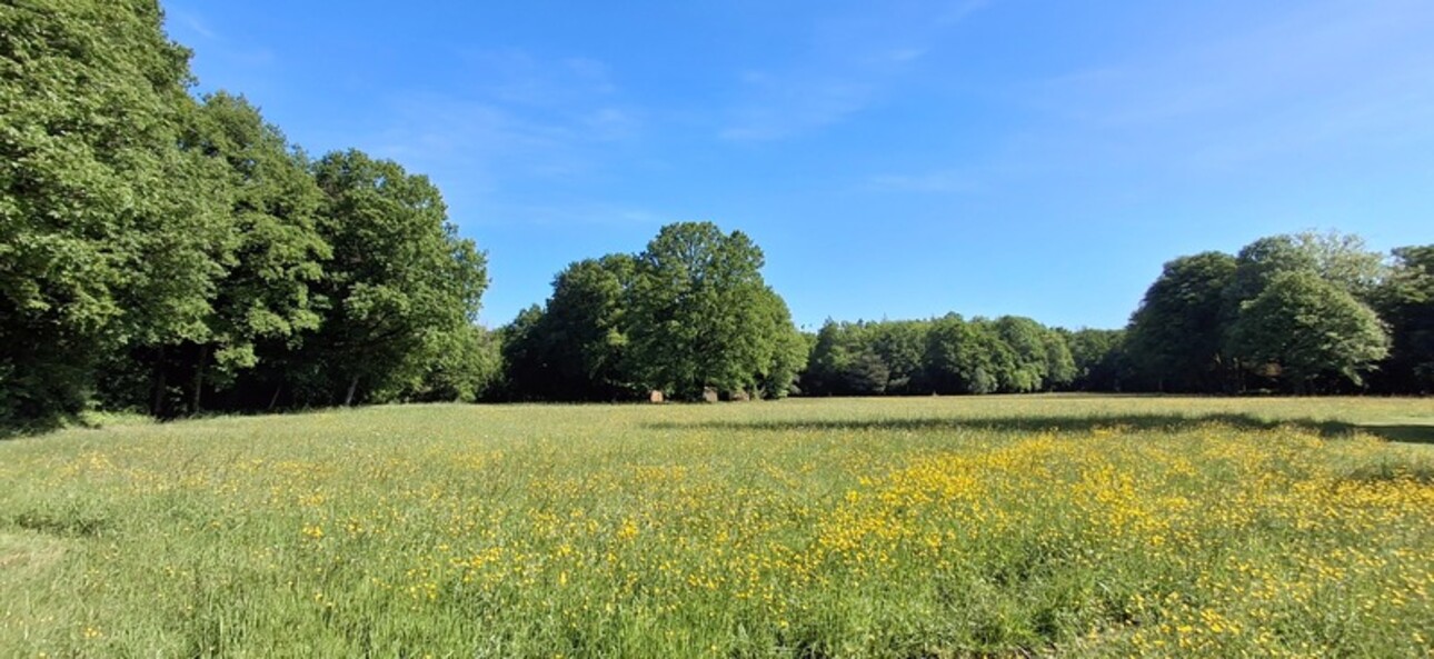 Photos 12 - Prestigious - Château du XVIII eme a 1h10 de Paris. Conçu pour accueillir activités professionnelles et vie familiale indépendante