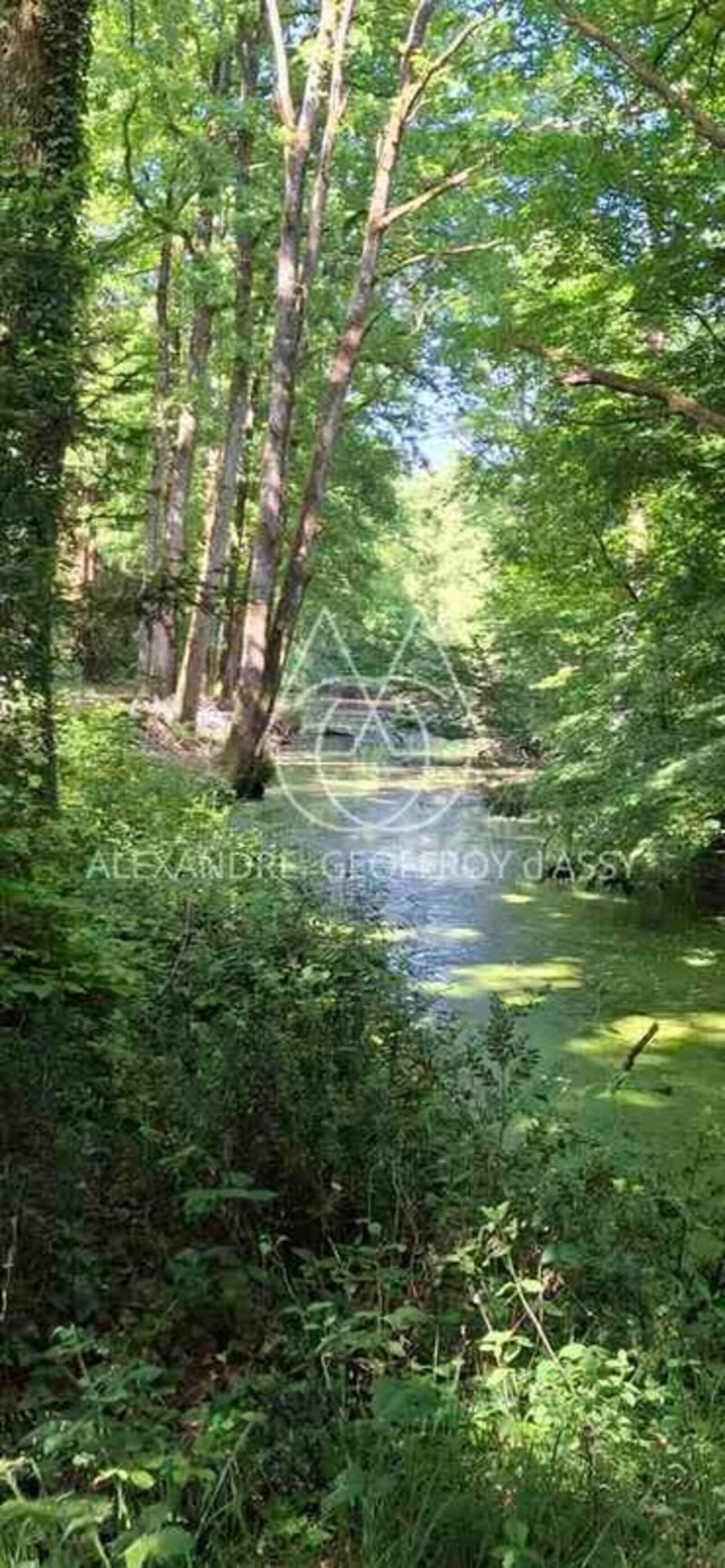 Photos 29 - Prestigious - Château du XVIII eme a 1h10 de Paris. Conçu pour accueillir activités professionnelles et vie familiale indépendante