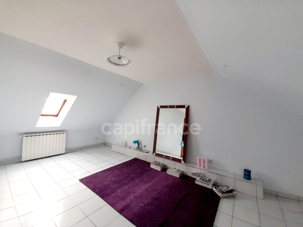 Photos 16 - Prestige - DEPARTEMENT 45 - PITHIVIERS A VENDRE  DEMEURE 9 PIECES DE 350 M2 - TERRAIN DE 850 M2