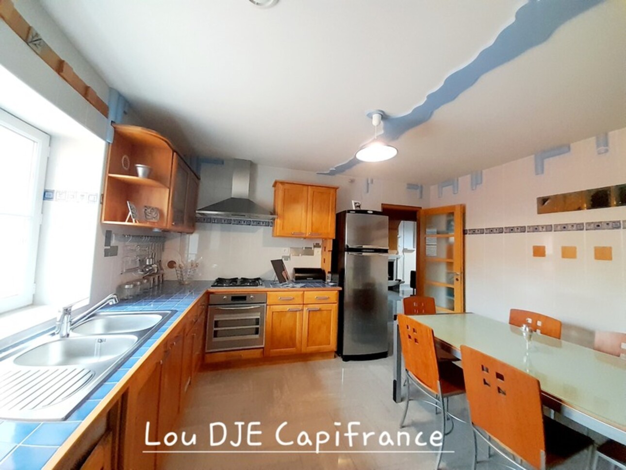 Photos 18 - Prestige - DEPARTEMENT 45 - PITHIVIERS A VENDRE  DEMEURE 9 PIECES DE 350 M2 - TERRAIN DE 850 M2