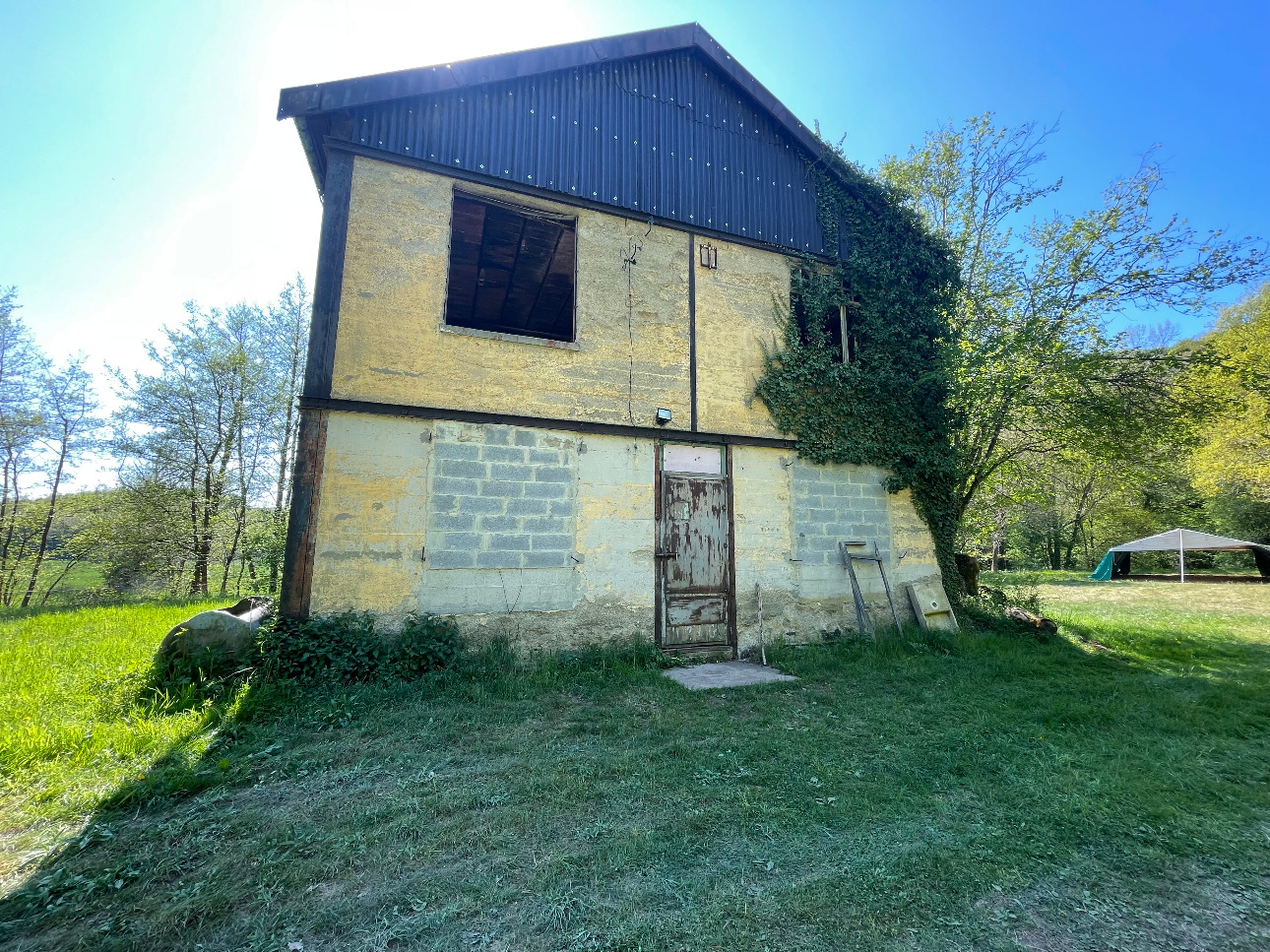 Photos 7 - Forestière - Forêt dans le Nord avec chasse aux gros gibiers