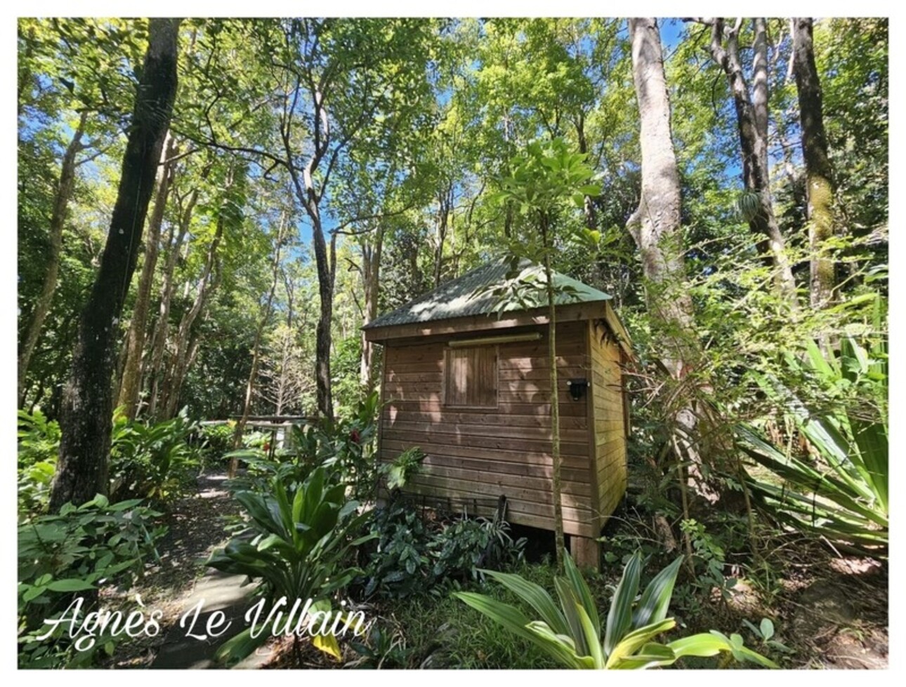 Photos 1 - Touristique - Propriété Maison + 3 Gites sur 5 000 m2 de Forêt