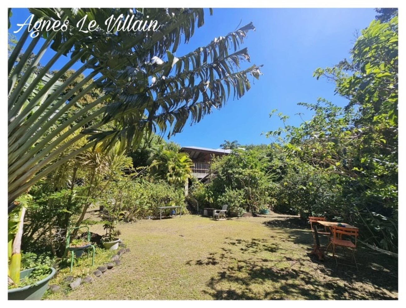Photos 7 - Touristique - Propriété Maison + 3 Gites sur 5 000 m2 de Forêt