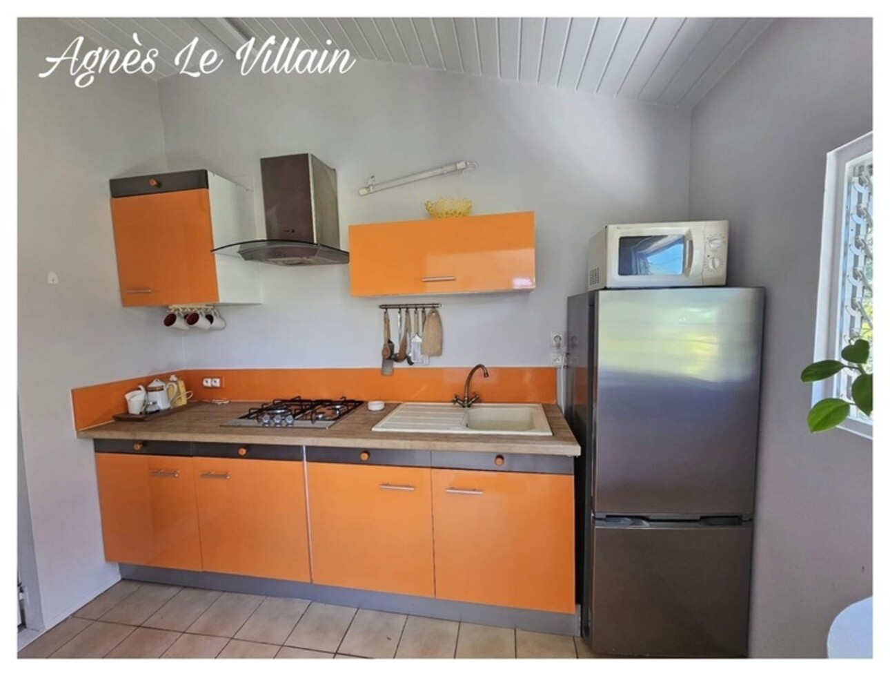 Photos 9 - Touristique - Propriété Maison + 3 Gites sur 5 000 m2 de Forêt