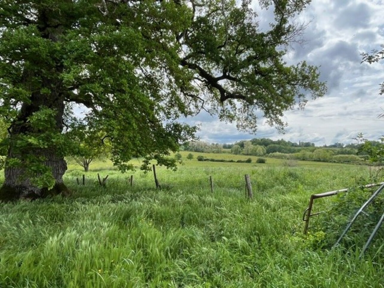 Photos 3 - Agricole - Corps de ferme