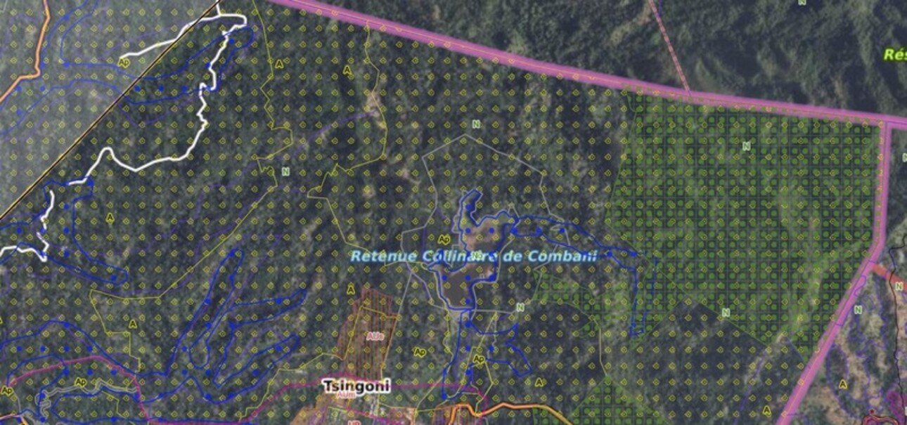 Photos 7 - Agricole - Terrain agricole à vendre de 167 518,00 m² COMBANI (976)