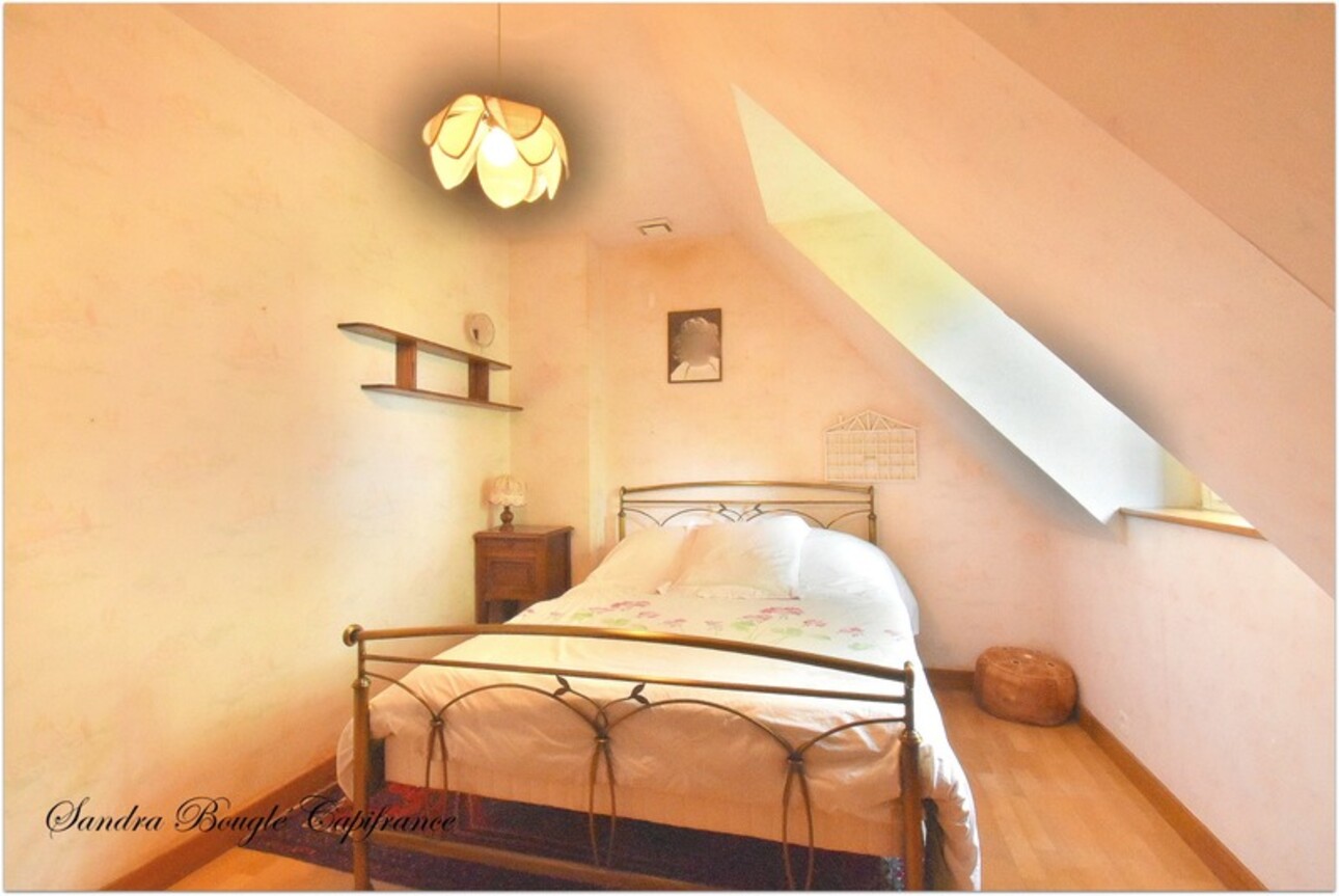 Photos 17 - Prestige - Propriété à vendre 12 pièces BALAZE (35)