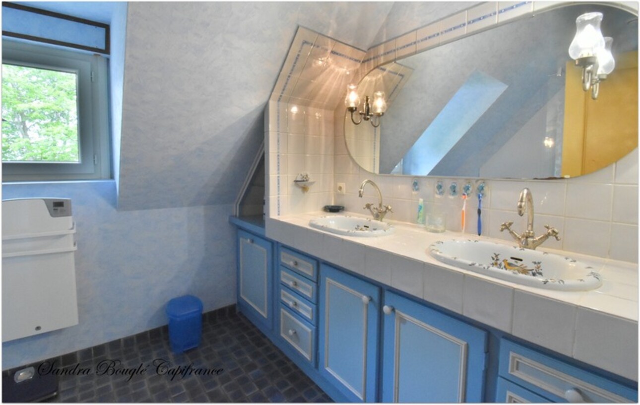 Photos 18 - Prestige - Propriété à vendre 12 pièces BALAZE (35)