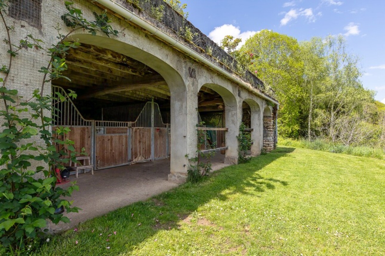 Photos 31 - Équestre - Pau - Pyrénées-Atlantiques - Domaine de 450m2 avec forêt de 20 ha