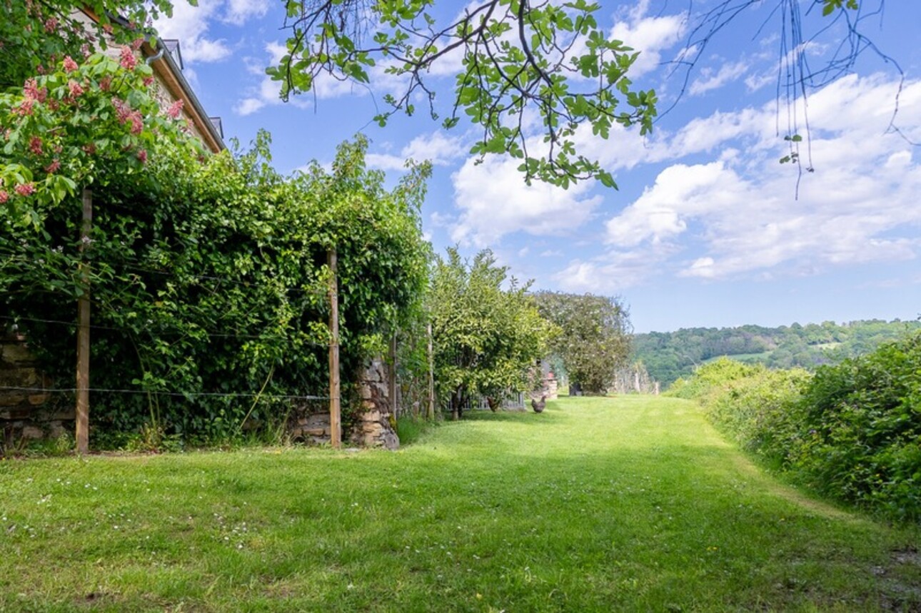 Photos 34 - Équestre - Pau - Pyrénées-Atlantiques - Domaine de 450m2 avec forêt de 20 ha