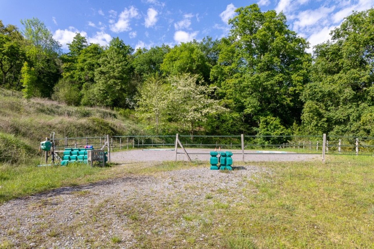 Photos 40 - Équestre - Pau - Pyrénées-Atlantiques - Domaine de 450m2 avec forêt de 20 ha