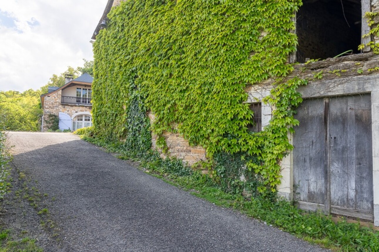 Photos 45 - Équestre - Pau - Pyrénées-Atlantiques - Domaine de 450m2 avec forêt de 20 ha