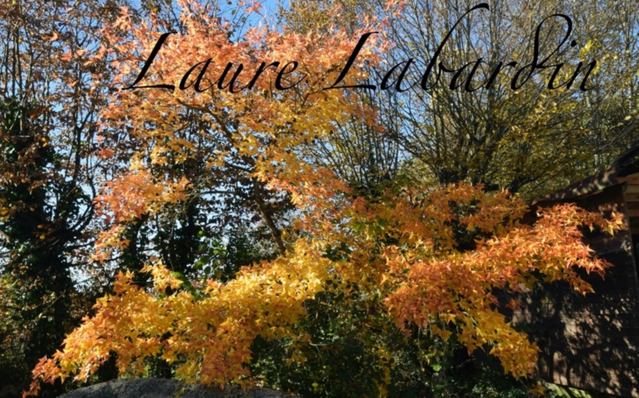 Photos 12 - Touristique - Domaine à vendre 22 pièces SAINTE BAZEILLE (47)