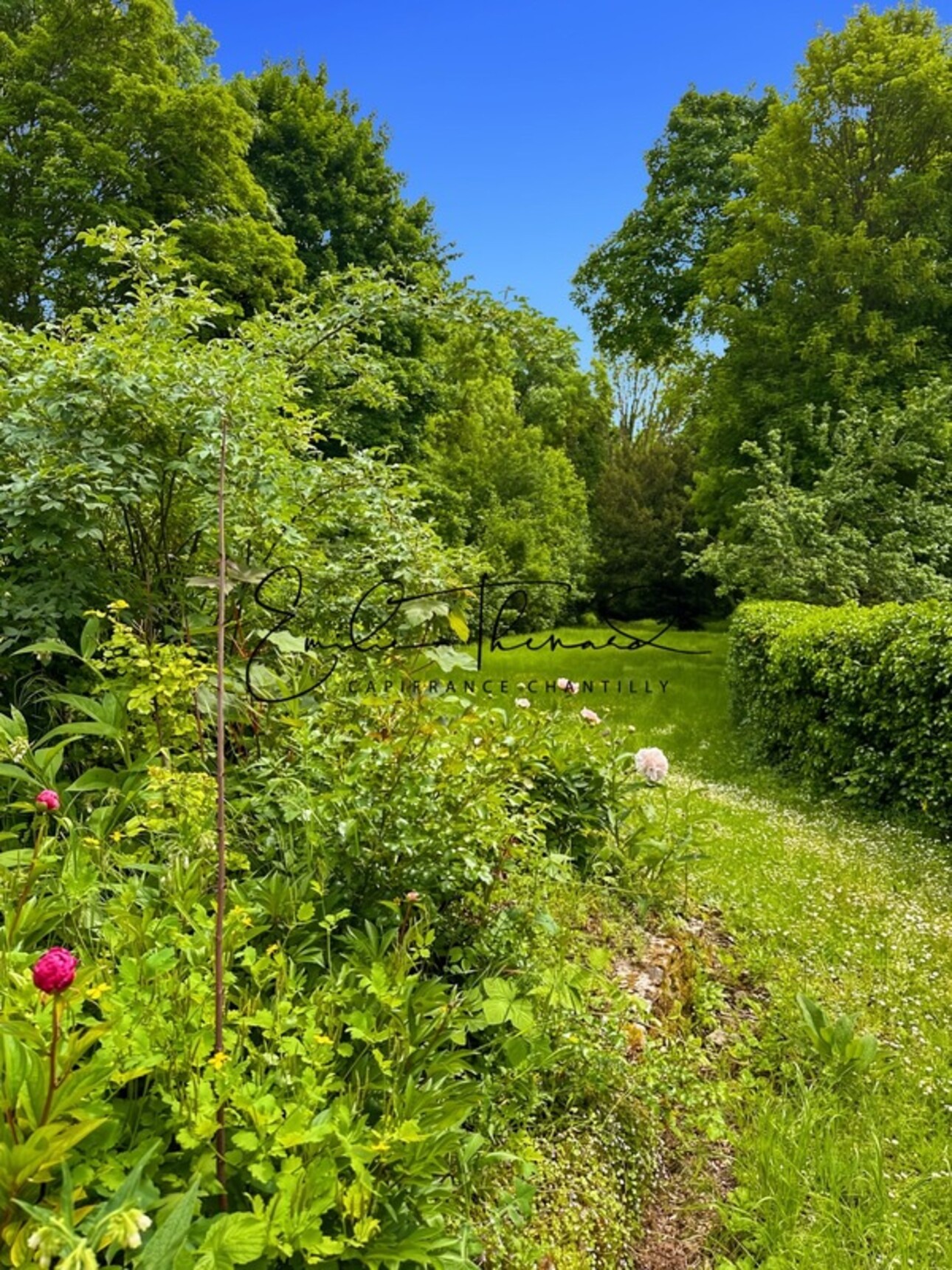 Photos 4 - Prestigious - Propriete à vendre 5 pièces proche de SENLIS (60) - 3 chambres possibilité 4 - Jardin 2100m2 avec Piscine - A1 à 10 min / CDG 20 min / Ecoles privées et publiques / Commodités