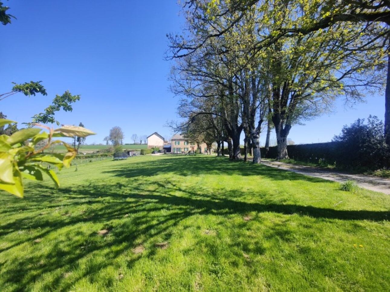 Photos 2 - Prestigious - Maison de maître