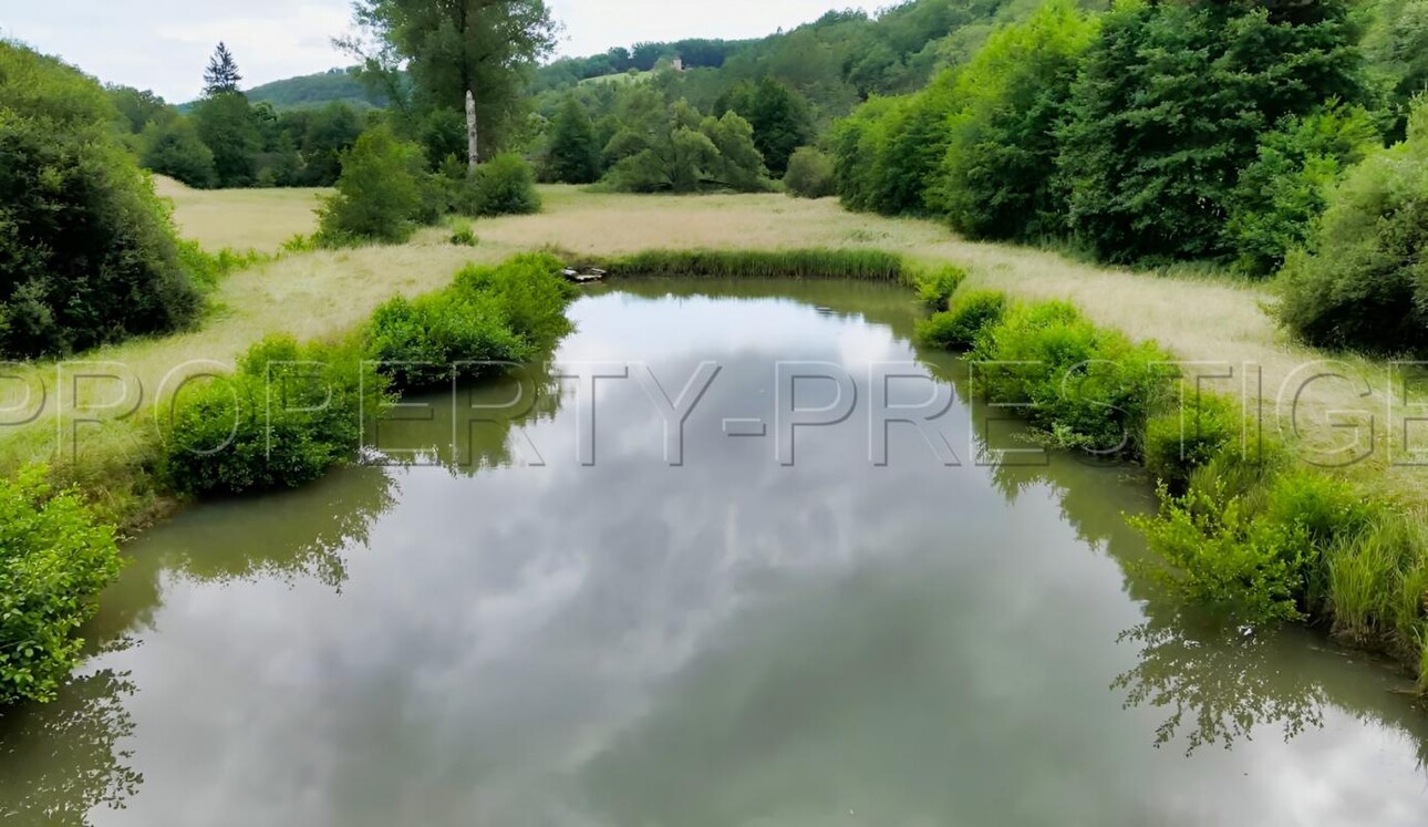 Photos 5 - Prestige - PERIGORD PROPRIETE 23 HA GITES RIVIERE PRL