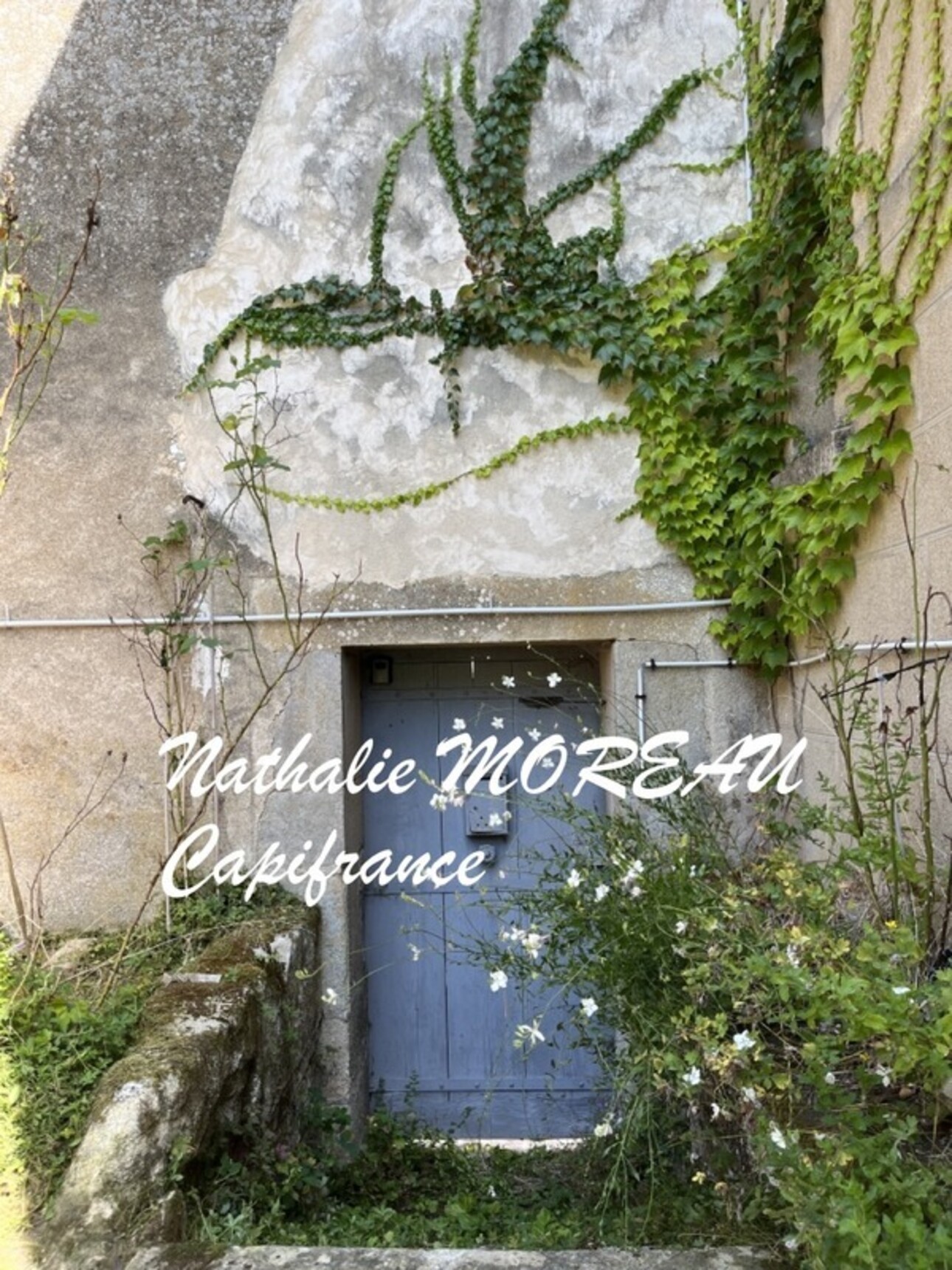 Photos 6 - Prestigious - Late 18th century property for sale - 9,000m2 wooded park - Ideal for Gite - Bed and Breakfast -