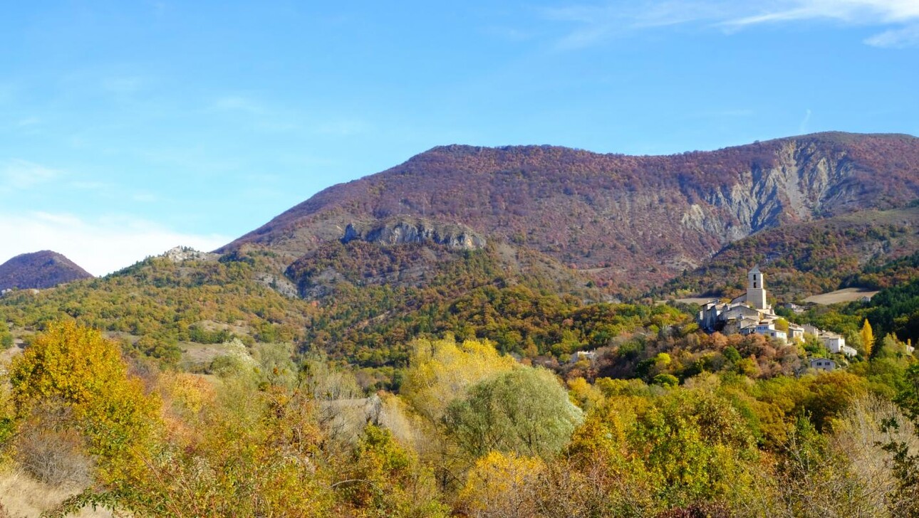 Photos 2 - Prestige - Propriété en pleine nature