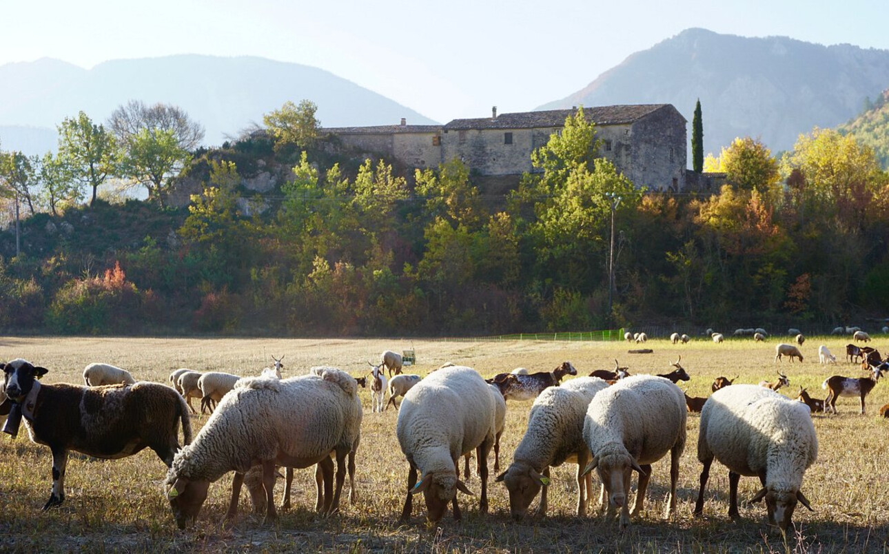 Photos 7 - Touristique - Propriété avec vue  panoramique