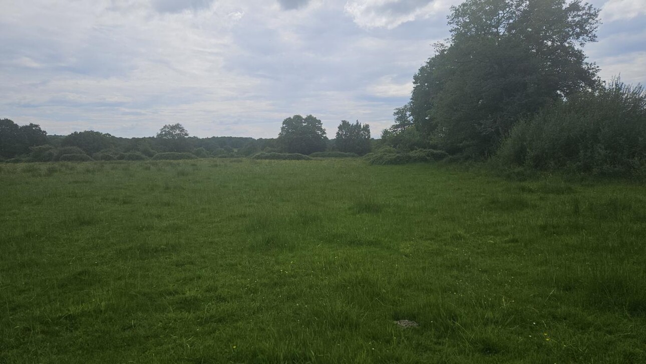 Photos 1 - Land - TERRAIN AGRICOLE